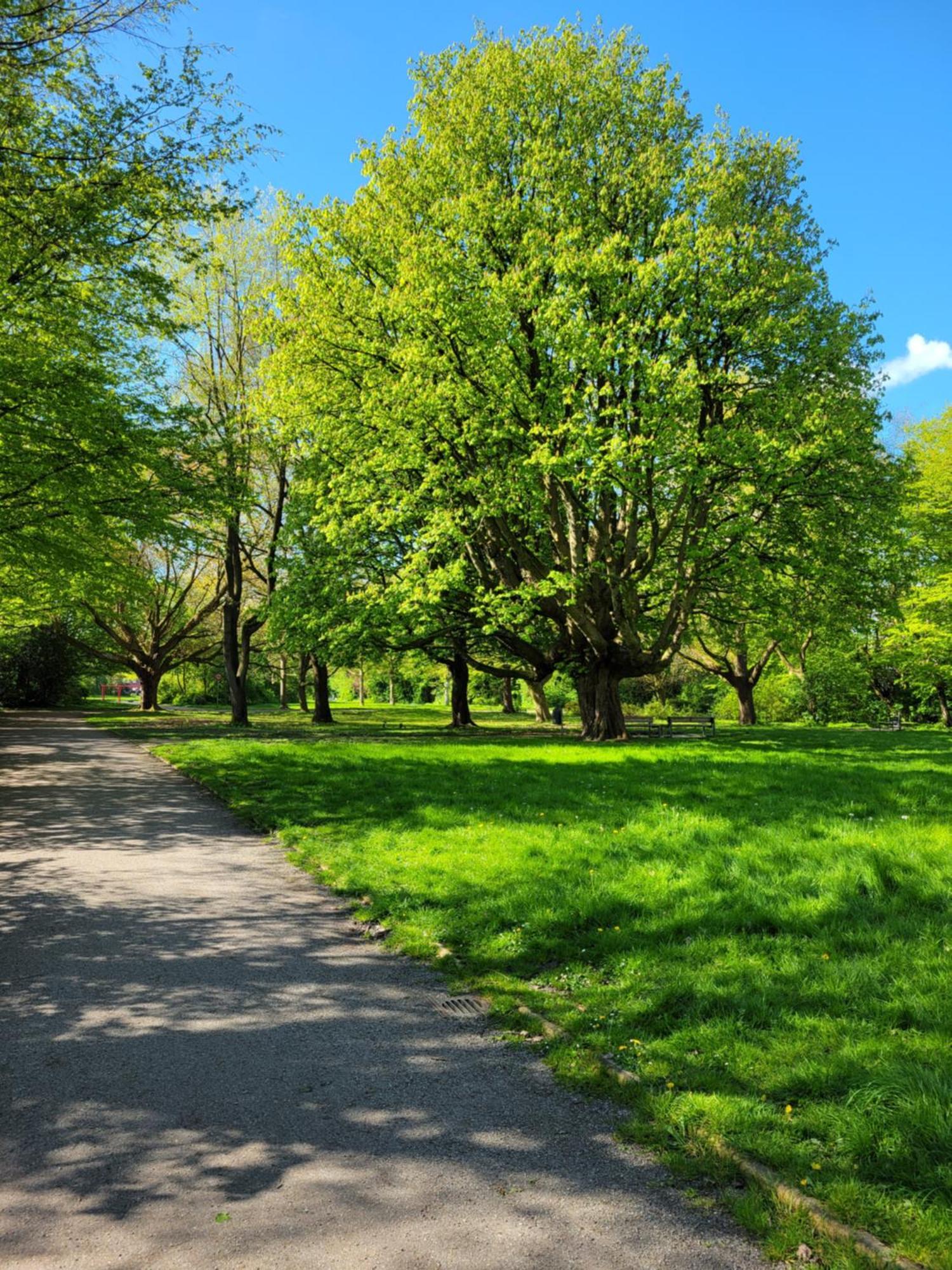 Ferienwohnungen Am Park Wilhelmshaven Luaran gambar